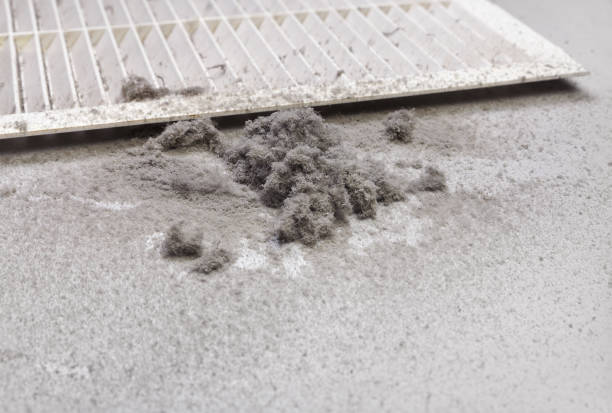 Best Best Air Duct Cleaning Company  in Fruitland, MD