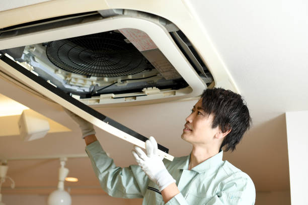 Best Dryer Vent Cleaning Services  in Fruitland, MD