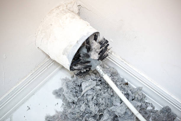 Best HVAC Air Duct Cleaning  in Fruitland, MD