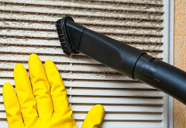 Best Best Air Duct Cleaning Company  in Fruitland, MD